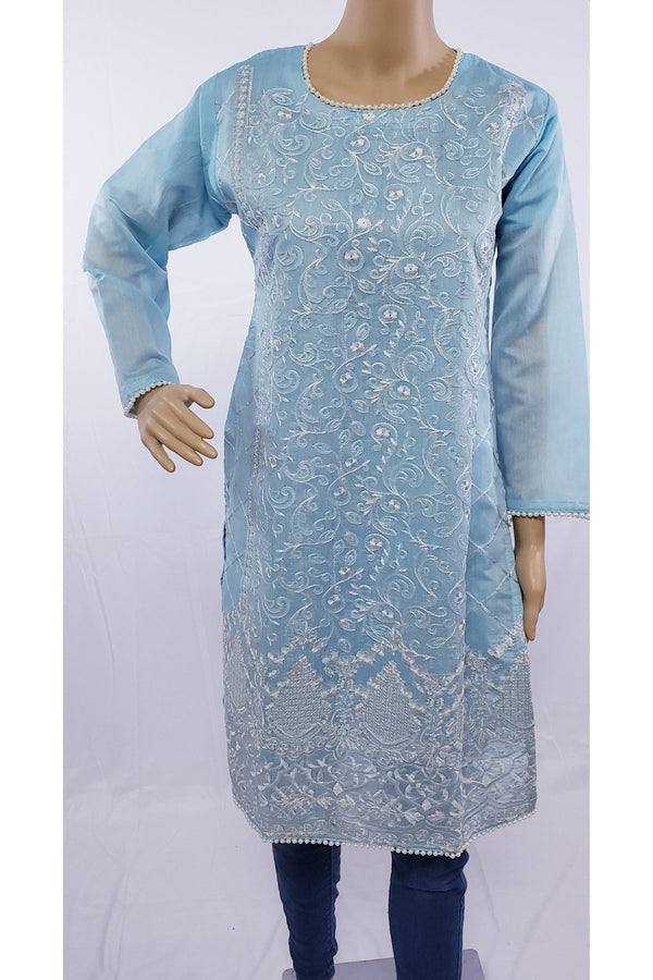 Pakistani/Indian straight chikinkari kurti Medium